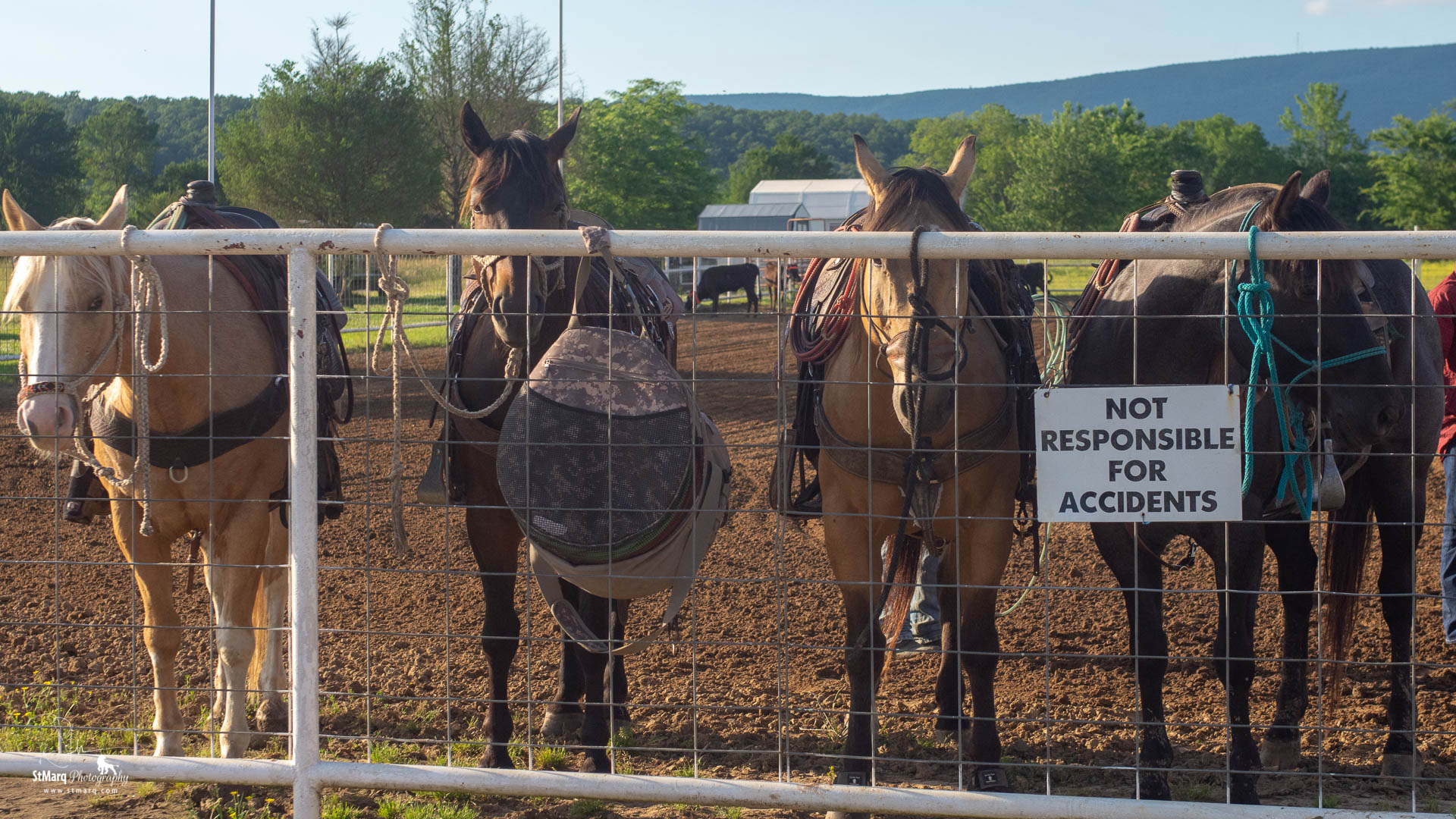 Cowboy Church Does Calf Roping For A Cause