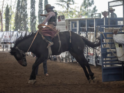 Industry Hills Charity Pro Rodeo